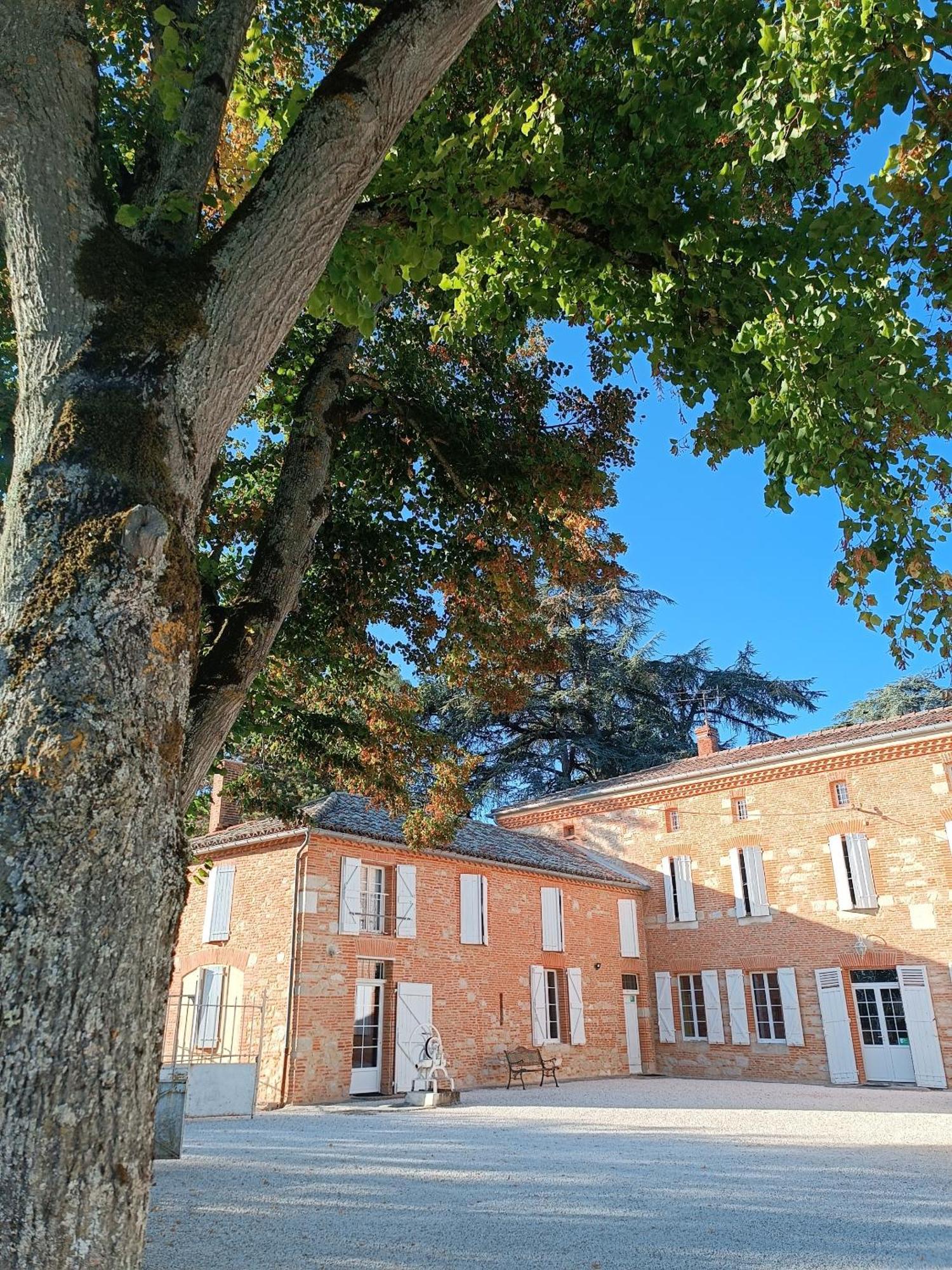 Hotel Le Jardin Des Cedres Lavaur  Exterior foto